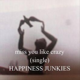 Album cover of Miss You Like Crazy