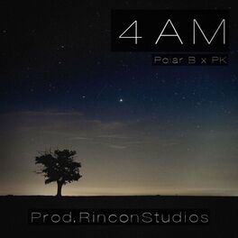 Album cover of 4AM (feat. Pk)