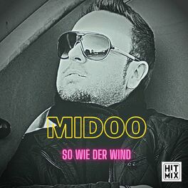 Album cover of So wie der Wind