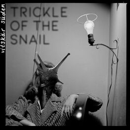 Album cover of Trickle of the Snail