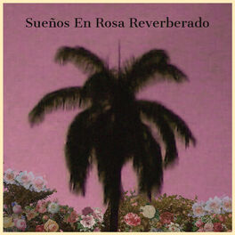 Album picture of Sueños en Rosa Reverberado