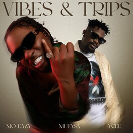 Album cover of Vibes & Trips