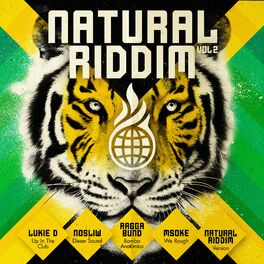 Album cover of Natural Riddim Vol. 2