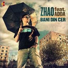 Album cover of Bani Din Cer