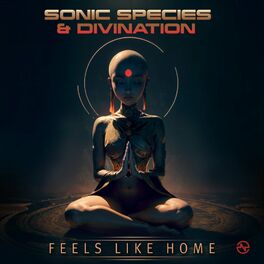 Album cover of Feels Like Home