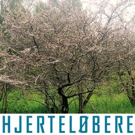 Album cover of Hjerteløbere