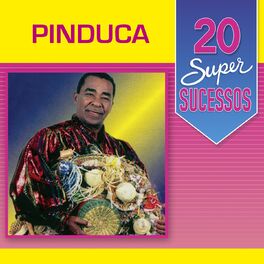 Album cover of 20 Super Sucessos Pinduca