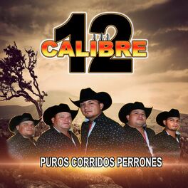 Calibre 50 - Corrido De Feliciano (Audio) 