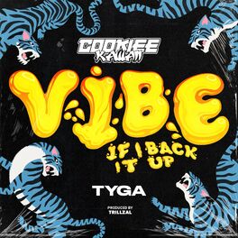 Album cover of Vibe (If I Back It Up)