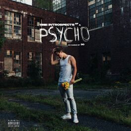 Album cover of The Introspects of a Psycho