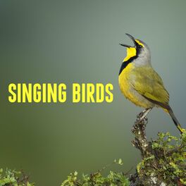 Album cover of Singing Birds