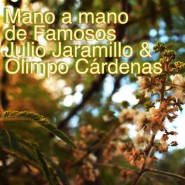 Album cover of Mano a Mano de Famosos