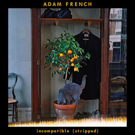 Album cover of Incompatible (Stripped)