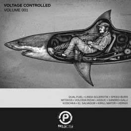 Album cover of Voltage Controlled, Vol. 001