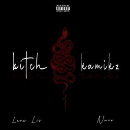Album cover of Bitch Kamikz