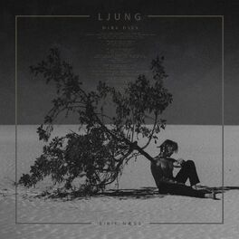 Album cover of Dark Days