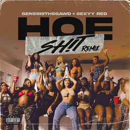 Album cover of Hoe Shit (Remix)