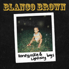 Album cover of Honeysuckle & Lightning Bugs