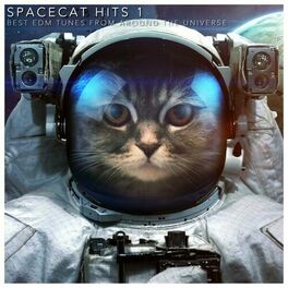 Album cover of Spacecat Hits 1 (Best EDM Tunes from Around the Universe)