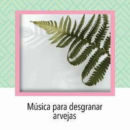 Album cover of Música para desgranar arvejas