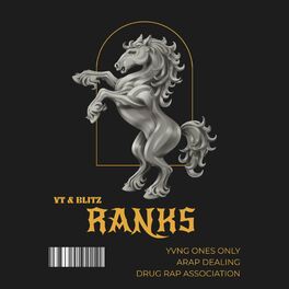Album cover of RANKS (feat. Blitz & YT)