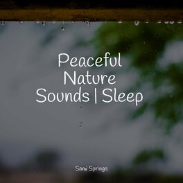 Album cover of Peaceful Nature Sounds | Sleep