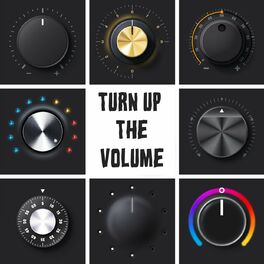 Album cover of Turn Up The Volume