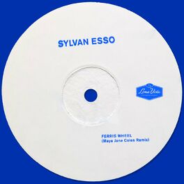 Album cover of Ferris Wheel (Maya Jane Coles Remix)