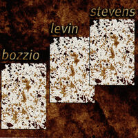 Bozzio Levin Stevens - Situation Dangerous: lyrics and songs | Deezer