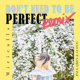Album cover of Don't Need to Be Perfect (Remix)