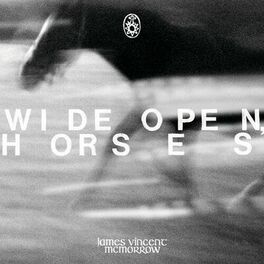Album cover of Wide open, horses