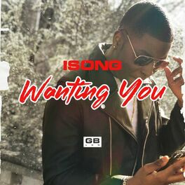 Album cover of Wanting You