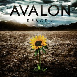 Album cover of Reborn