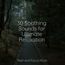 Album cover of 30 Soothing Sounds for Ultimate Relaxation