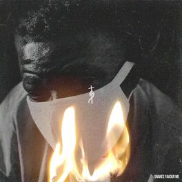 Album cover of Snakes Favour Me: The Performance Album