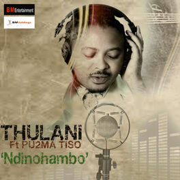 Album cover of Ndinohambo