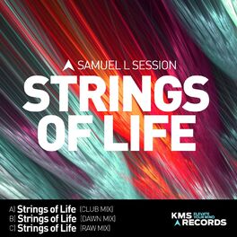 Album cover of Strings Of Life