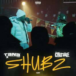Album cover of Shubz