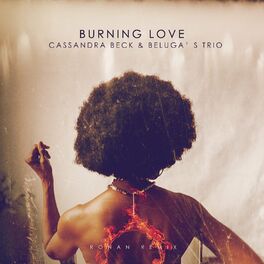 Album cover of Burning Love (Ronan Remix)