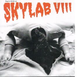 Album cover of Skylab Viii