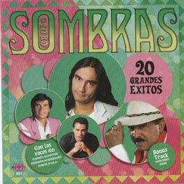Album cover of 20 Grandes Exitos