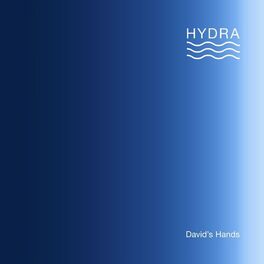 Album cover of David's Hands