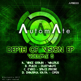 Album cover of Depth Of Vision Vol.5