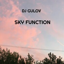 Album picture of Sky Function