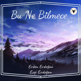 Album cover of Bu Ne Bilmece