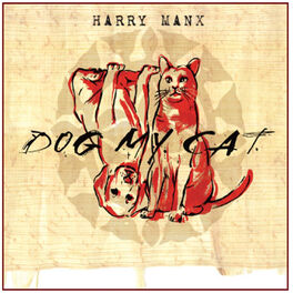 Album cover of Dog My Cat