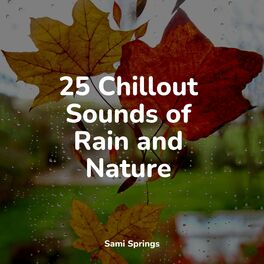 Album cover of 25 Chillout Sounds of Rain and Nature