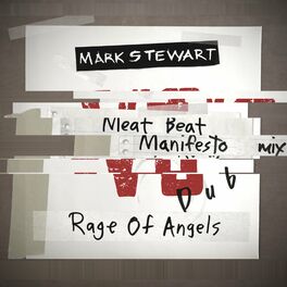 Album cover of Rage of Angels (Meat Beat Manifesto DUB Mix)