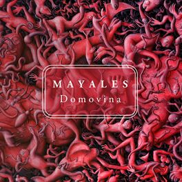 Album cover of Domovina