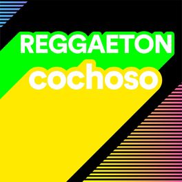 Album cover of Reggaeton Cochoso